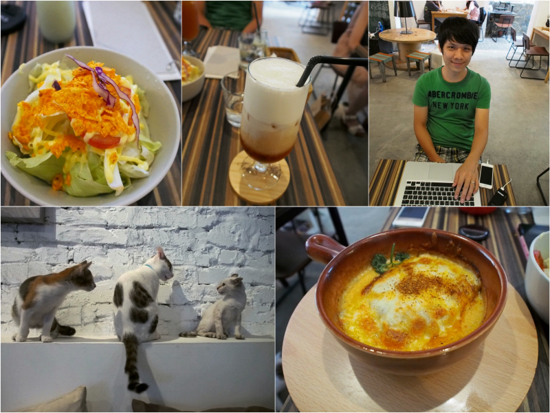 台北東區貓咪餐廳 Toast Chat ，店內有貓也歡迎帶貓咪來訪