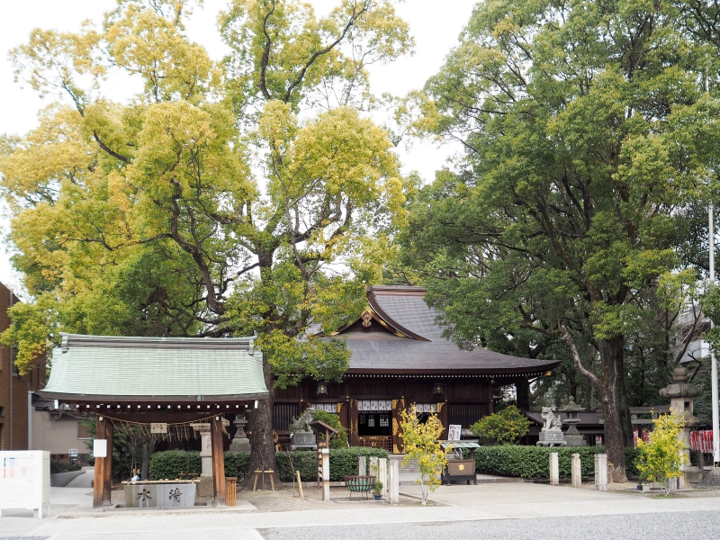 名古屋散步景點《若宮八幡社》偶遇德川家康時期建，跨越 400 年的古老神社